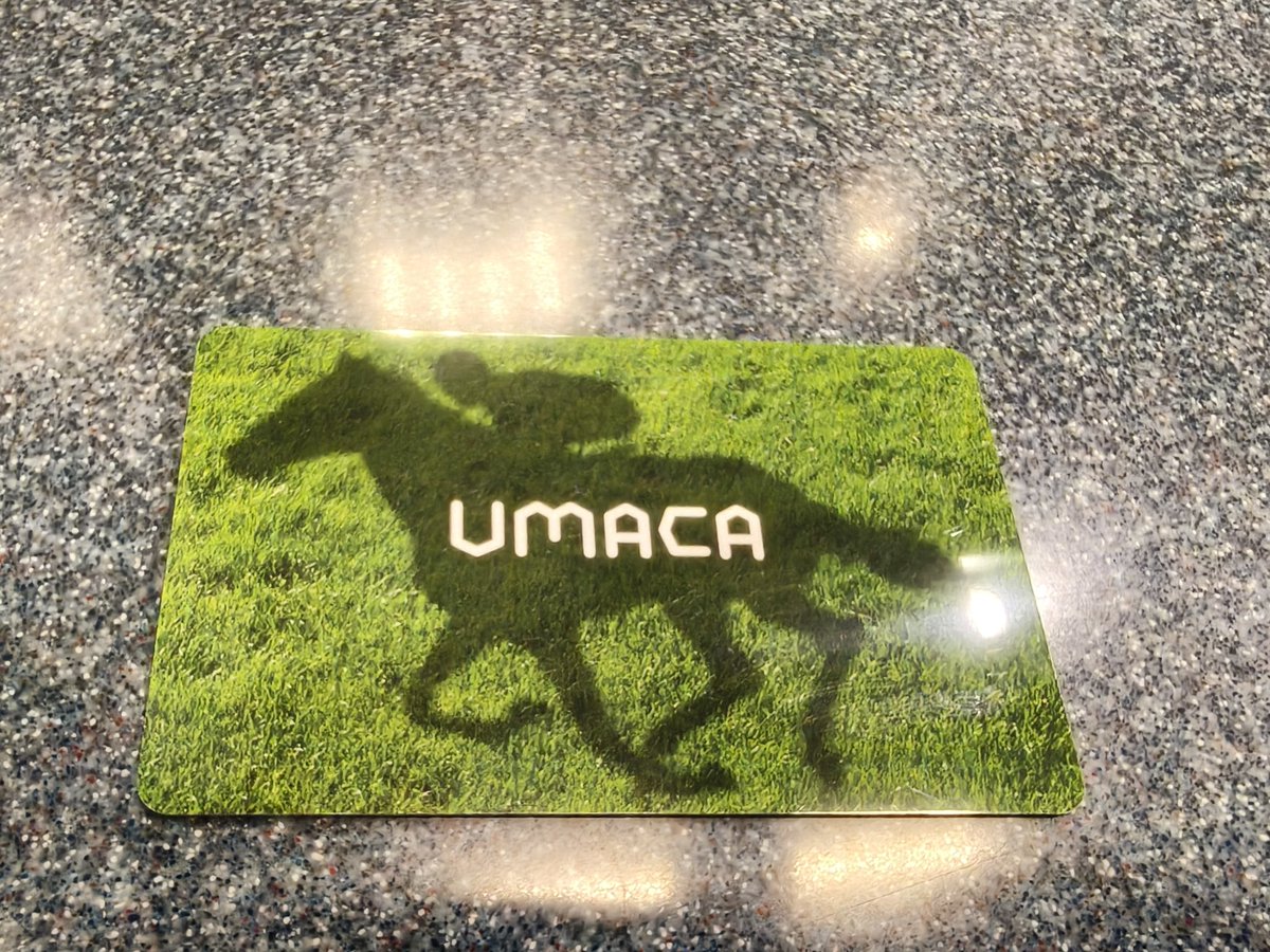 kaya0809invest2's tweet photo. UMACA作った🐴!
#競馬
#UMACA https://t.co/9OVlv6krBu