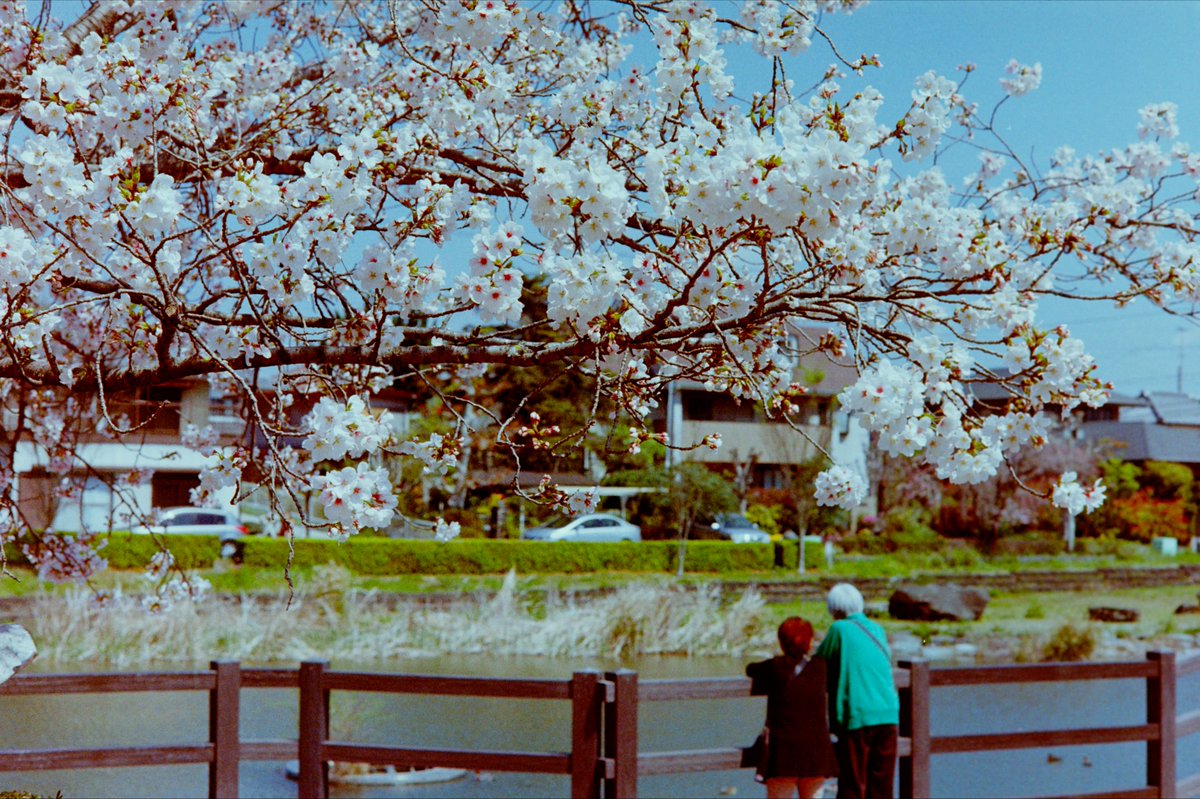 dolike_doraku's tweet photo. なんでもない写真2026年4月
Nothing in Particular Photos Apr,2026
使用フィルムと印画紙シミュレーションはALT参照。
#個人開発 #DavinciResolve #DCTL #ネガポジ反転 #minoltaSRT101 https://t.co/FP5US9l2Vc