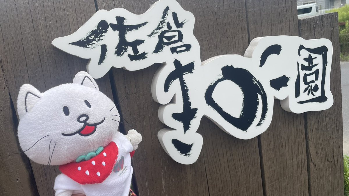 boc_RA96's tweet photo. 佐倉きのこ園できのこ狩りじゃあああ
をしてきた🍄‍🟫
しいたけと、白いきくらげね✨
採れたしいたけでBBQできるといいけど、千葉は雨っぽい⁇
きくらげはスイーツにも合うらしい😳 https://t.co/tvGhWCpmVq