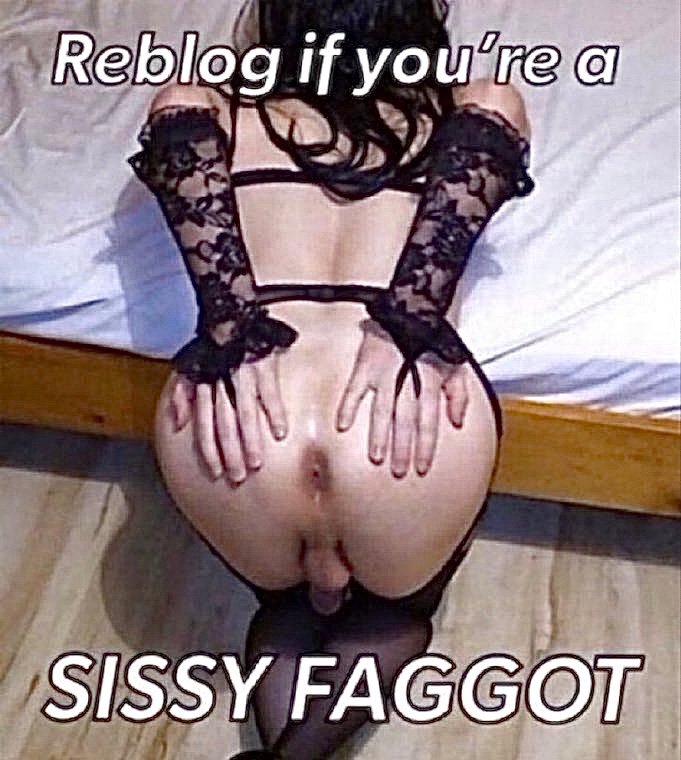 college_goddess's tweet photo. Reblog faggot https://t.co/3ZMaHg85yi