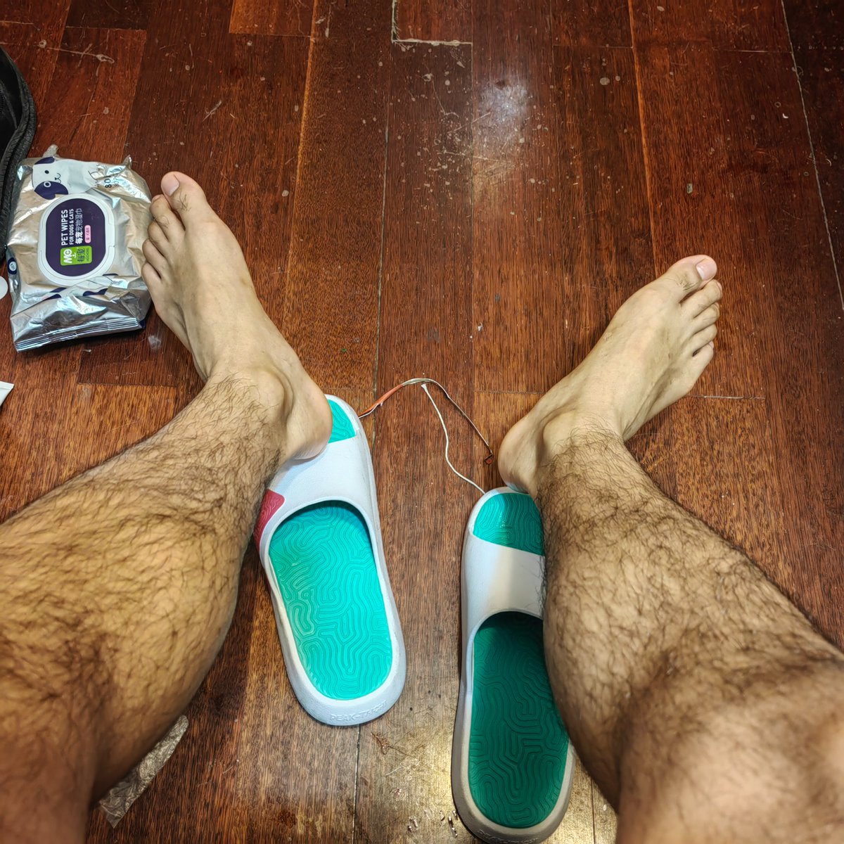 luobaoi's tweet photo. 找苏州杯。喜公🐶 https://t.co/h1udNJPp0b