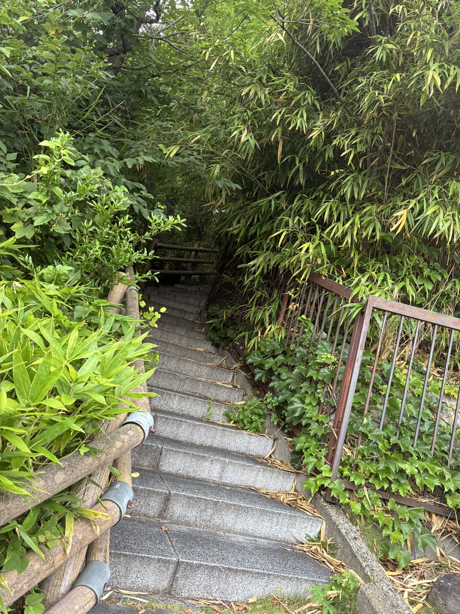 tunehima334's tweet photo. こういう細道を散歩してる時に見つけるとテンション上がる https://t.co/e5aSWe5Knb