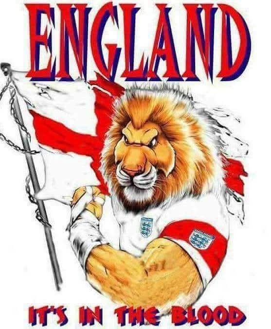 MickMead348148's tweet photo. @kezia_noble https://t.co/yAb0WBFSmx