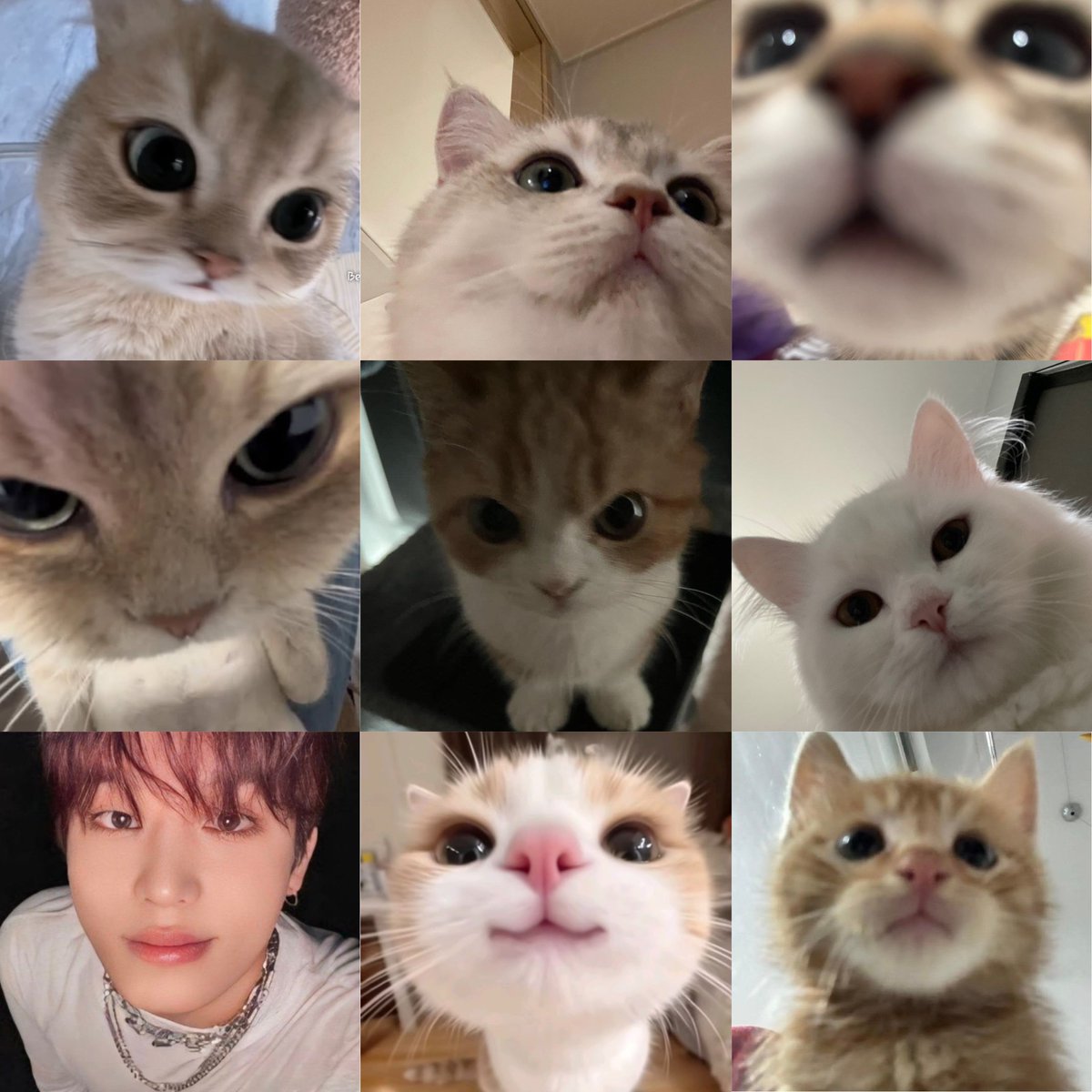 hwcotton's tweet photo. รูปไหนคือน้องจองอูตัวจริงล่ะ?  🤔 https://t.co/lwuUCSa86D