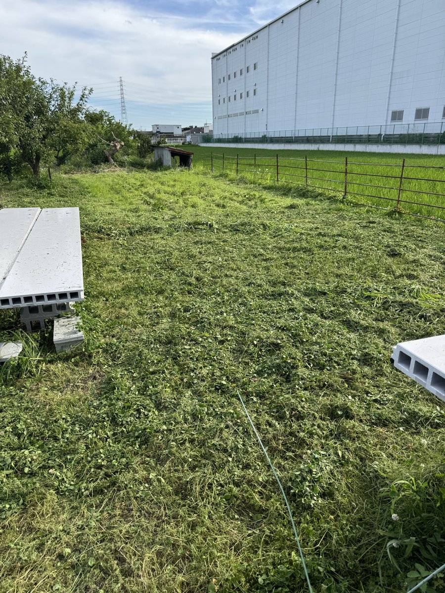 yasuo61's tweet photo. 草刈りデイ🌱

よきトレーニング🥵 https://t.co/keK6GiPnOs
