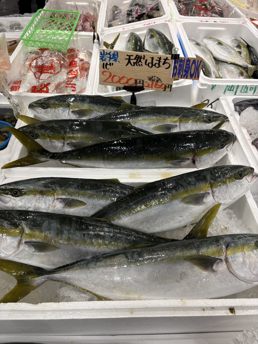 mainichiSST's tweet photo. これを、こうして、こうじゃ！

昨日は手巻き。今日は海鮮丼と唐揚げ。明日はあら煮。

バローのハマチ一尾買いにハマッチまった。

ここ最近の2,000円の使い方で一番ご機嫌な使い方。ハマチ天国。 https://t.co/zvUvR4dHLX
