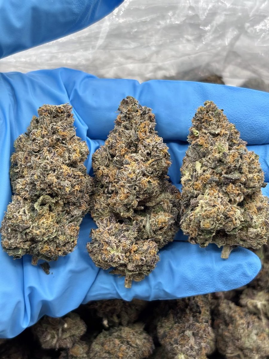 Thomasbudss's tweet photo. Weed delivery in #Stratford, Olympic Park, Queen Elizabeth Olympic Park, Hackney Wick, #Walthamstow, Leyton, Waltham Forest, Ealing, Acton, Chiswick, #Richmond, Kew Gardens, Wimbledon, Putney, #Fulham, #Hammersmith, Shepherd's Bush, Earl's Court, Paddington https://t.co/Mbz7Ed7Rp8