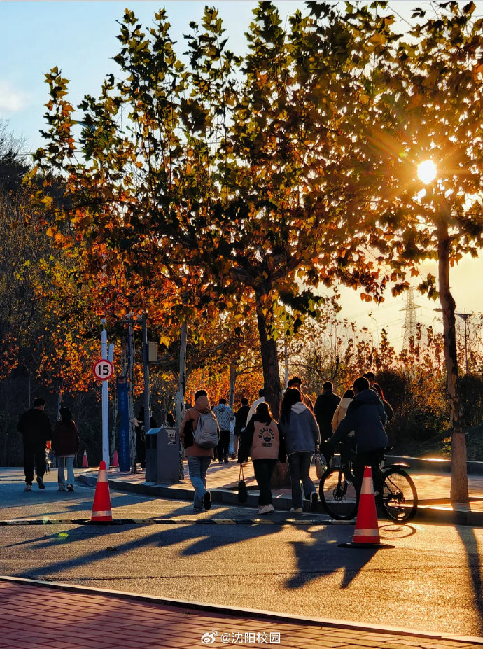 howard_cel32374's tweet photo. Our university photography club is hosting a street photography walk this Saturday (2 PM, campus downtown area)! Bring your cameras, capture urban vibes, and network with fellow shutterbugs. Sign up via our club link by Thursday—can’t wait to see your shots! https://t.co/oIto0dkaDj