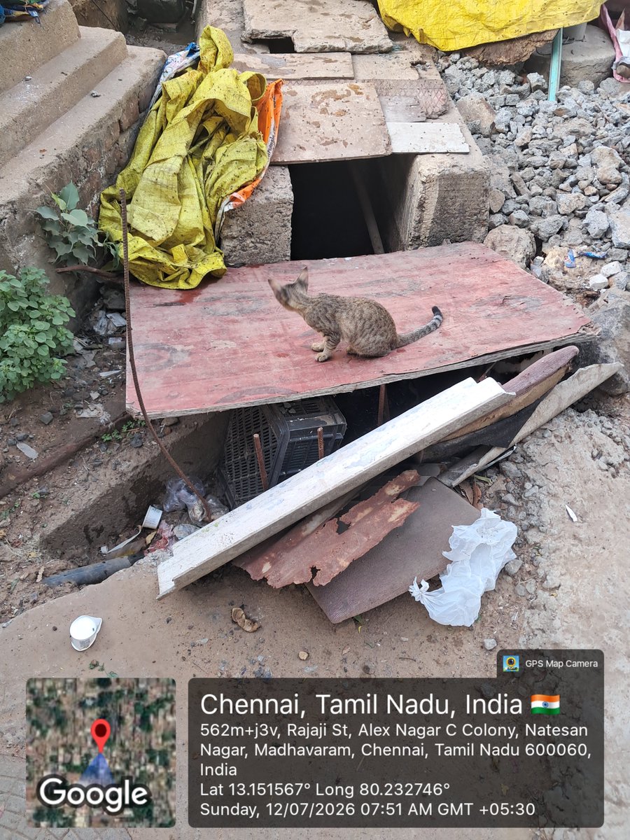 kausimi's tweet photo. Zone-03 division 25 &amp; 26  the SWD  which was renewed before 1 year is still under construction and the open drain haven't been closed nor any other actions taken to sanitize the area @CMOTamilnadu @MawsTamilNadu @Collr_Chn @Arappor @CHN_Metro_Water https://t.co/Zb7F8pTK9r