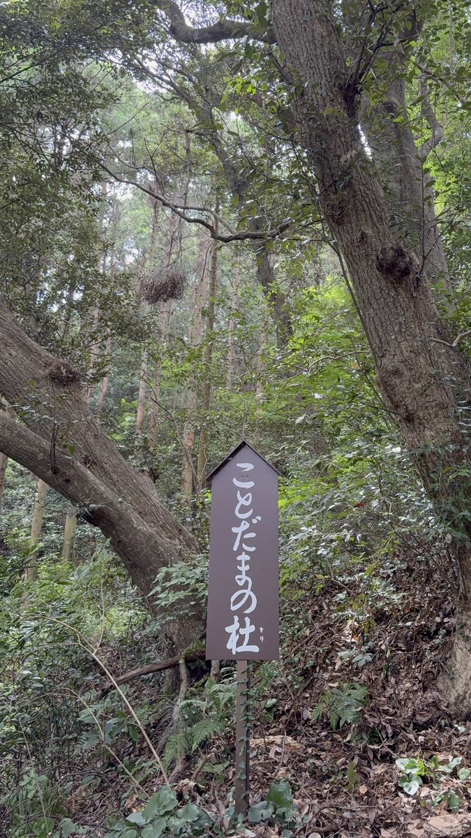 n_oah16's tweet photo. パワーもらえた🌱 https://t.co/xsp1fl4oNr