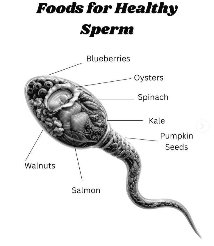 healthhubHQ_'s tweet photo. Dear men,

Foods for Your Healthy Sperm:

- Blueberries
- Oysters
- Spinach
- Kale
- Pumpkin Seeds
- Walnuts
- Salmon https://t.co/JUr70IUxdo