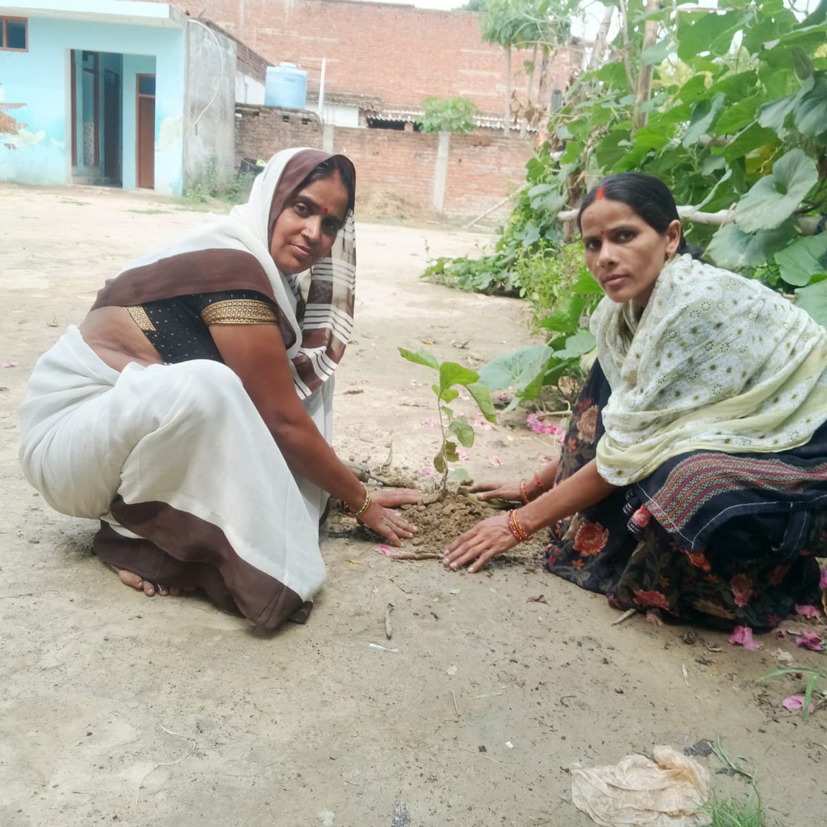 Healthdept91387's tweet photo. एक पेड़ मां के नाम.... https://t.co/7AOjFvy5sK
