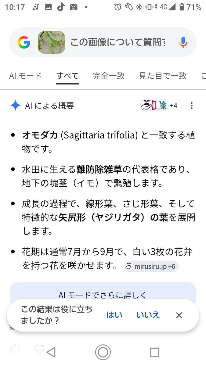 BLACKNOISE21's tweet photo. このヤローが苗ダメにして回ってるから見つけ次第引き抜く。

俺の田んぼから出ていけ！ https://t.co/6o8N8moScd