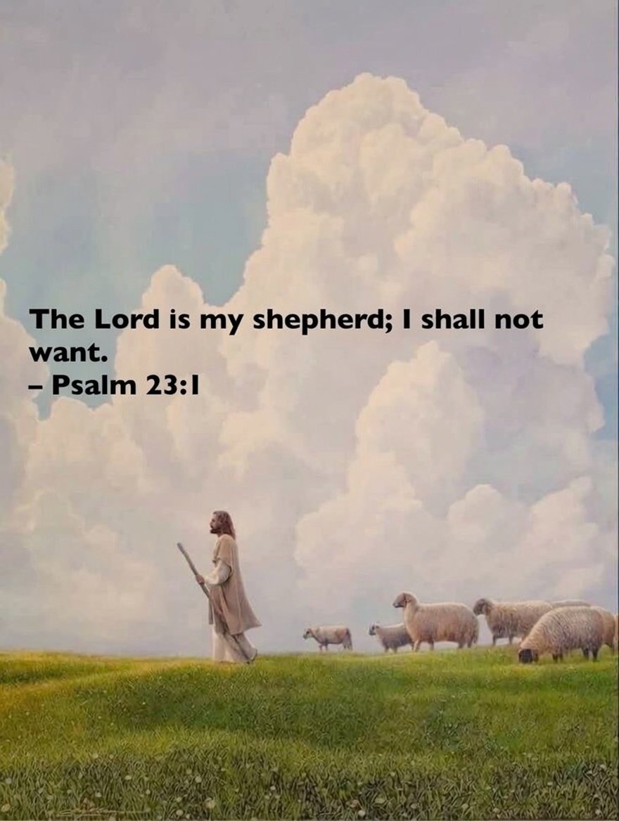 Richard_gh1's tweet photo. Psalm 23:1 https://t.co/swSFftBWmb