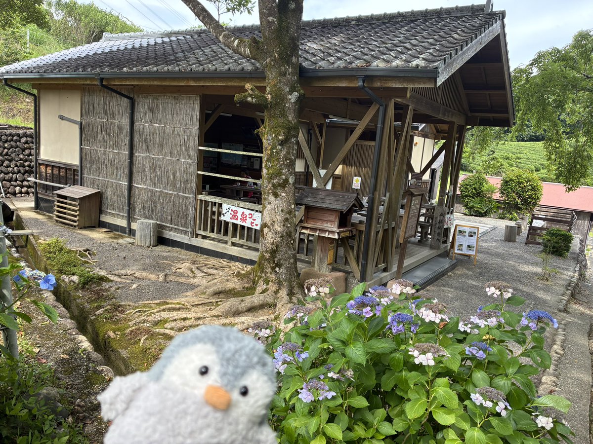 yuyama12's tweet photo. 綺麗な景色拝みながら伏見王子跡
お茶屋さんがある！ https://t.co/0zk90D1wAm