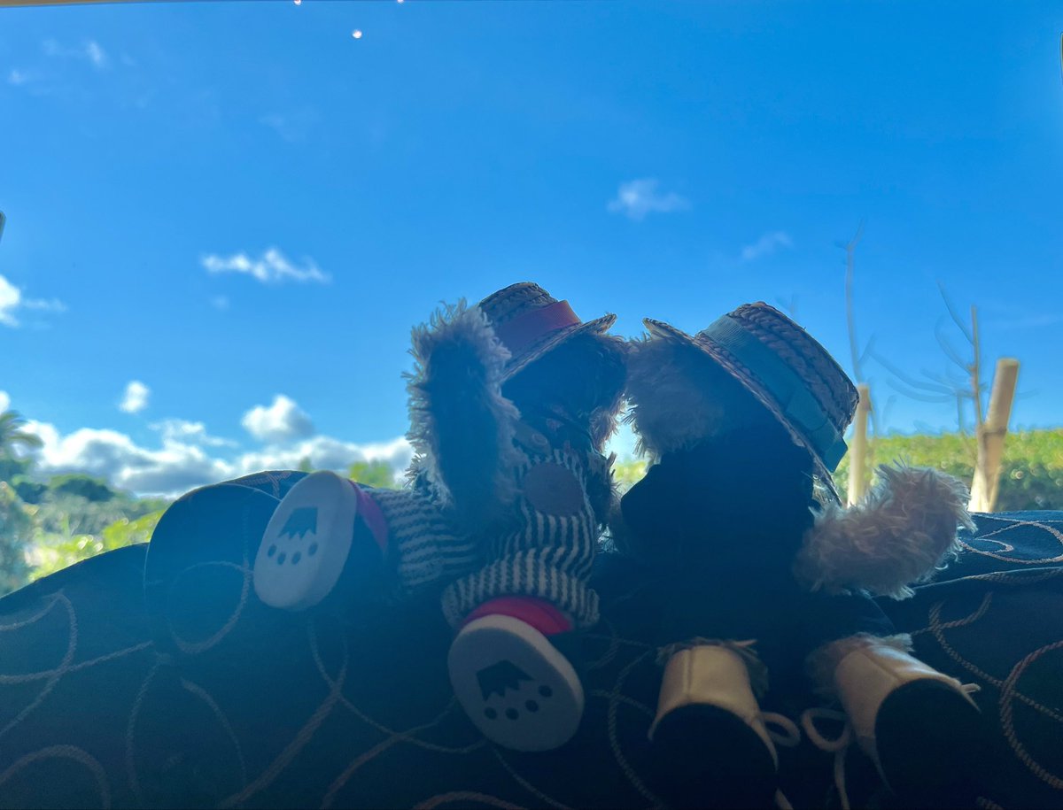 tukko_7's tweet photo. 感情豊かなしっぽもすきよ🐾 https://t.co/nY8In0CHfB