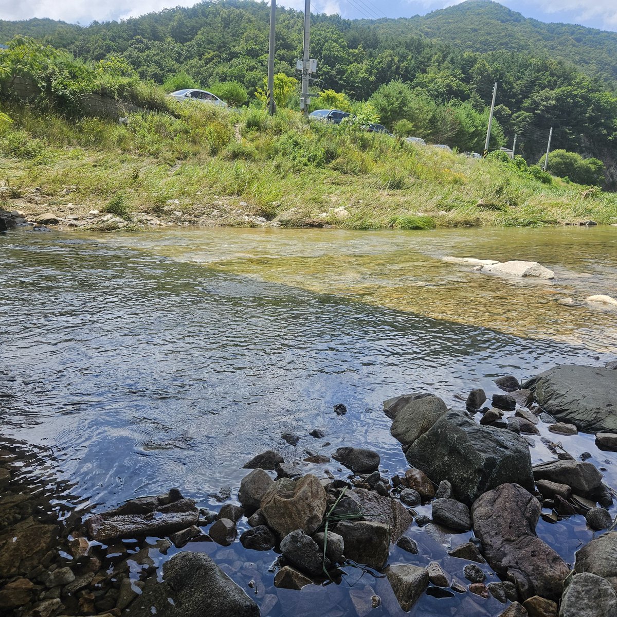 바람 tweet media