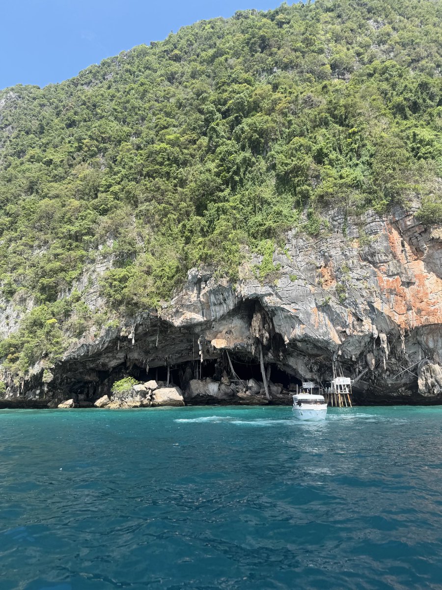 Kaede11s_'s tweet photo. 〜プーケット完〜

ピピ島のツアーが楽しすぎた🏝️
海は綺麗だし水温もちょうどいいしガイドの人は可愛いし飯もうまい
なにより移動手段のスピードボートが運転荒すぎてアトラクションみたいで楽しかった〜

次はバンコクへ✈️ https://t.co/q6I8KzYfhg