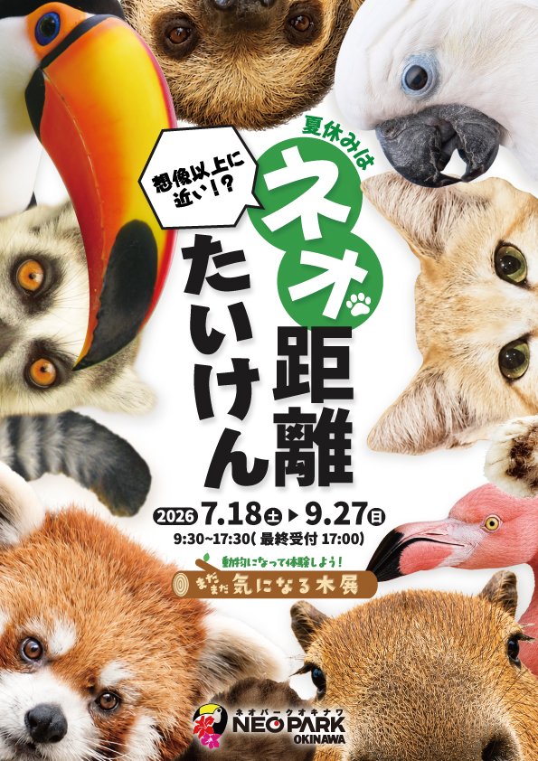 chica0726-cats&animals (@cats_chica0726) / Posts / X