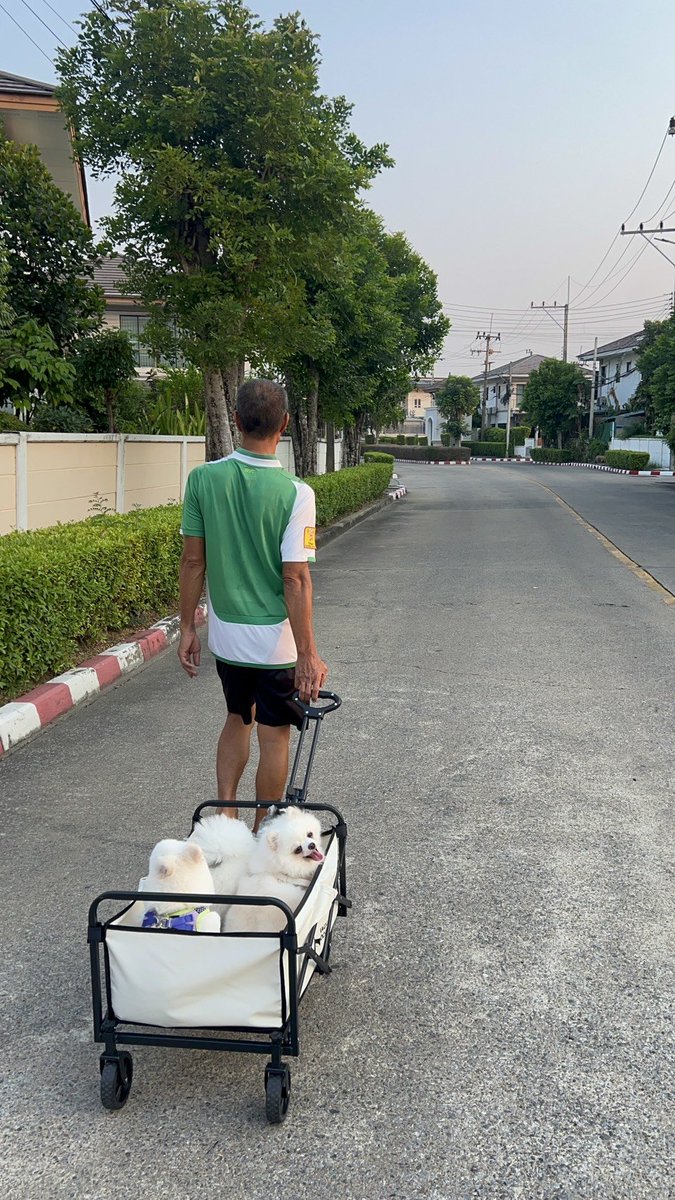 ChunhThn's tweet photo. ทรงลุง รักหมาแต่ก็ชอบท่าหมาด้วย https://t.co/Fa6HMjzBNN