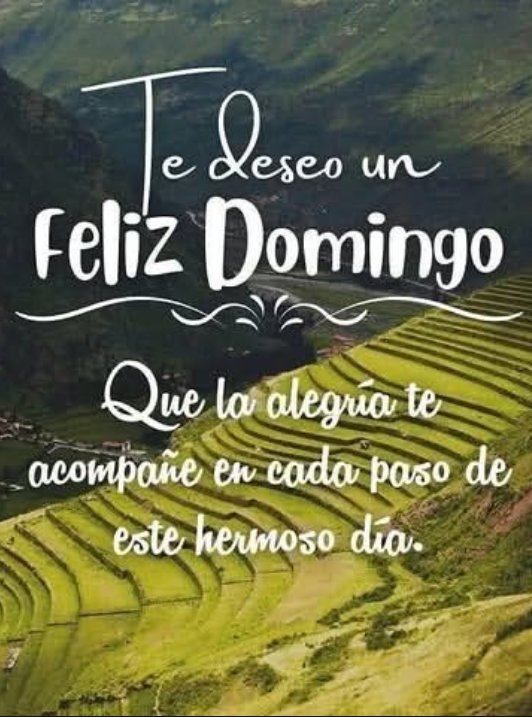 XTINAGDC's tweet photo. #BuenosDías #FelizDomingo 
Os deseo un feliz y tranquilo día! 
😘😘🫂☕🧁🎵🎼🎶📖🌻🙏🙏🙏❤️ https://t.co/nrDAQpwBQP