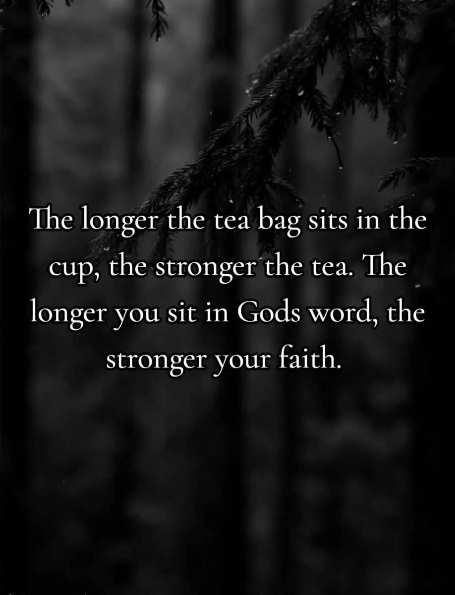 Cairnlodge1's tweet photo. Sent to me last night from a brother in the Lord and I think it's so appropriate for today's wee thought to encourage us all.
No matter what we face in life, the longer we learn, take in and practice things, then the better and stronger we beome for sure. 💪
#Philippinas 4:13 📜
"I can do all things through #Christ which strengtheneth me". 👑
#AuthorisedVersion #AV of the #KingJamesVersion #KJV of the #HolyBible 📖