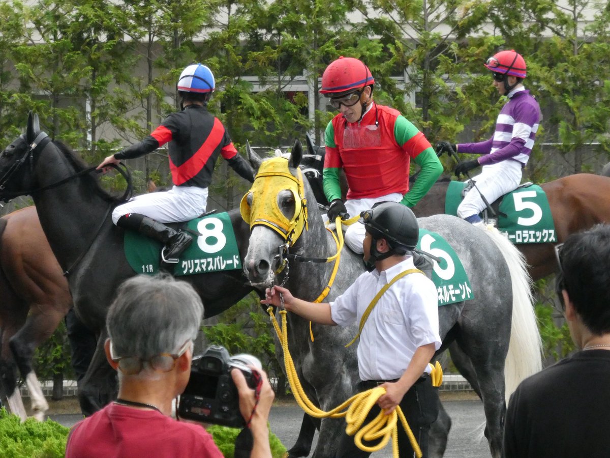 vincemacmahojr's tweet photo. マイネルモーント、無事に帰ってきましたよ。惜しかった！鞍上の表情が全て！次は福島記念で晴らそう！ https://t.co/YhvUzP818k