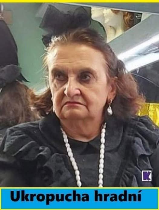 JardaJelen's tweet photo. Kámoška rudého noka a rudé nudle. https://t.co/JEMTcNRttn