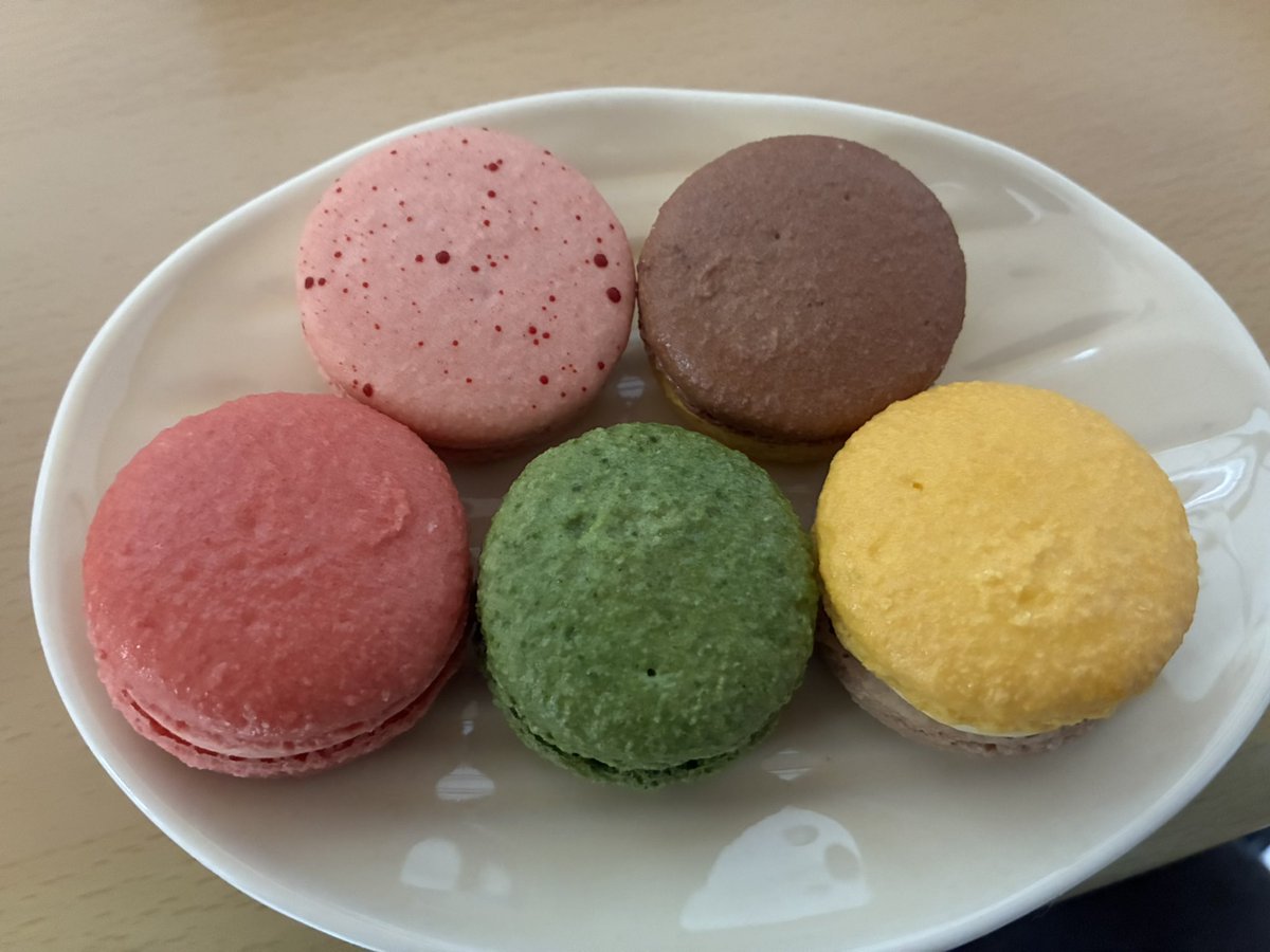 sitto_kari's tweet photo. 最高 https://t.co/YNCX0EJ32j