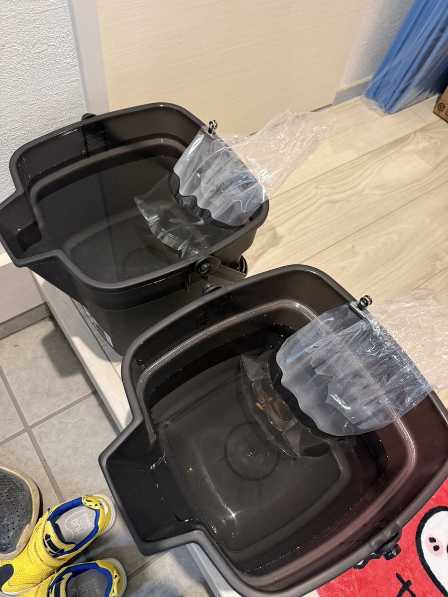jamnyfish's tweet photo. 一旦ビオトープリセット
洗剤は使わない方が良いらしいので水道水で何回も濯ぎ一旦乾かす
マツモも洗う
ベタ水合わせ中に
メダカの飼育水を金魚水槽の水を使わずに全部水道水からカルキ抜きバイオスコールで13リットルバケツに作りそこでメダカも水温合わせ https://t.co/OqhZmximhE