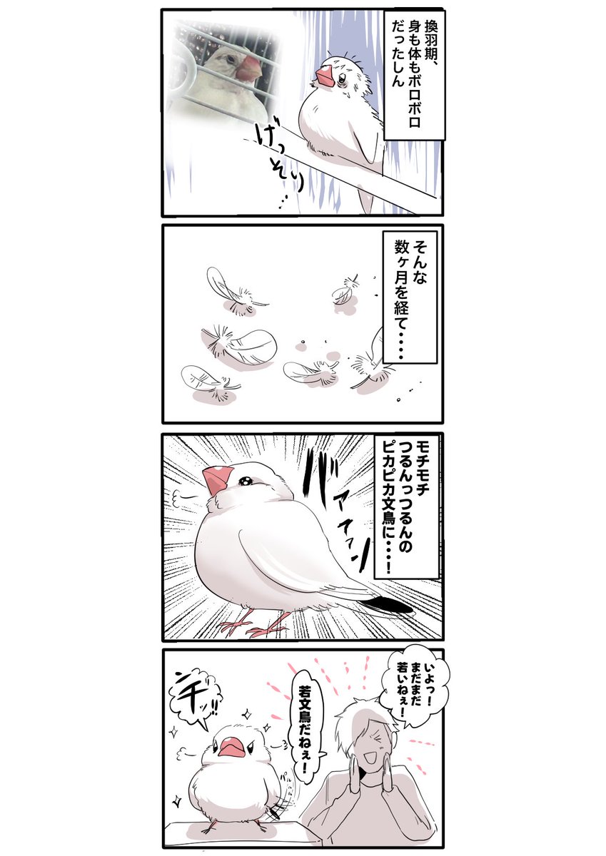 lulu_218's tweet photo. しん6歳、まだまだ若いぞ！ https://t.co/7Z4rjiPRDV