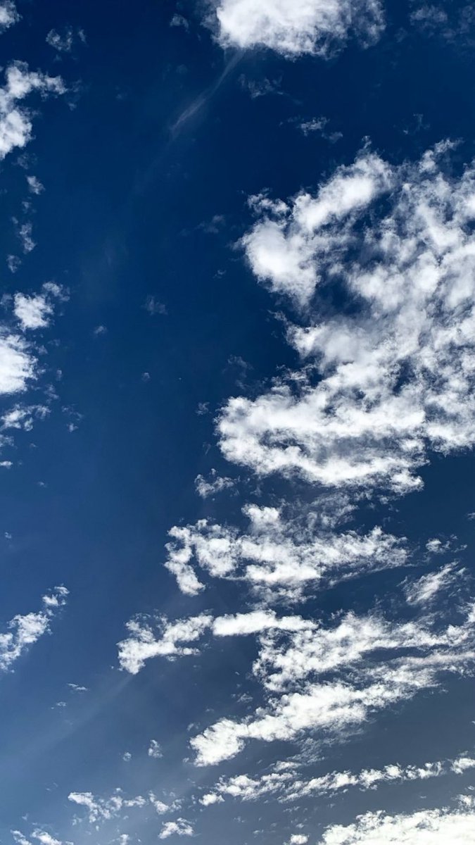 فوفيتا البثره 🌿👒🧺 tweet media