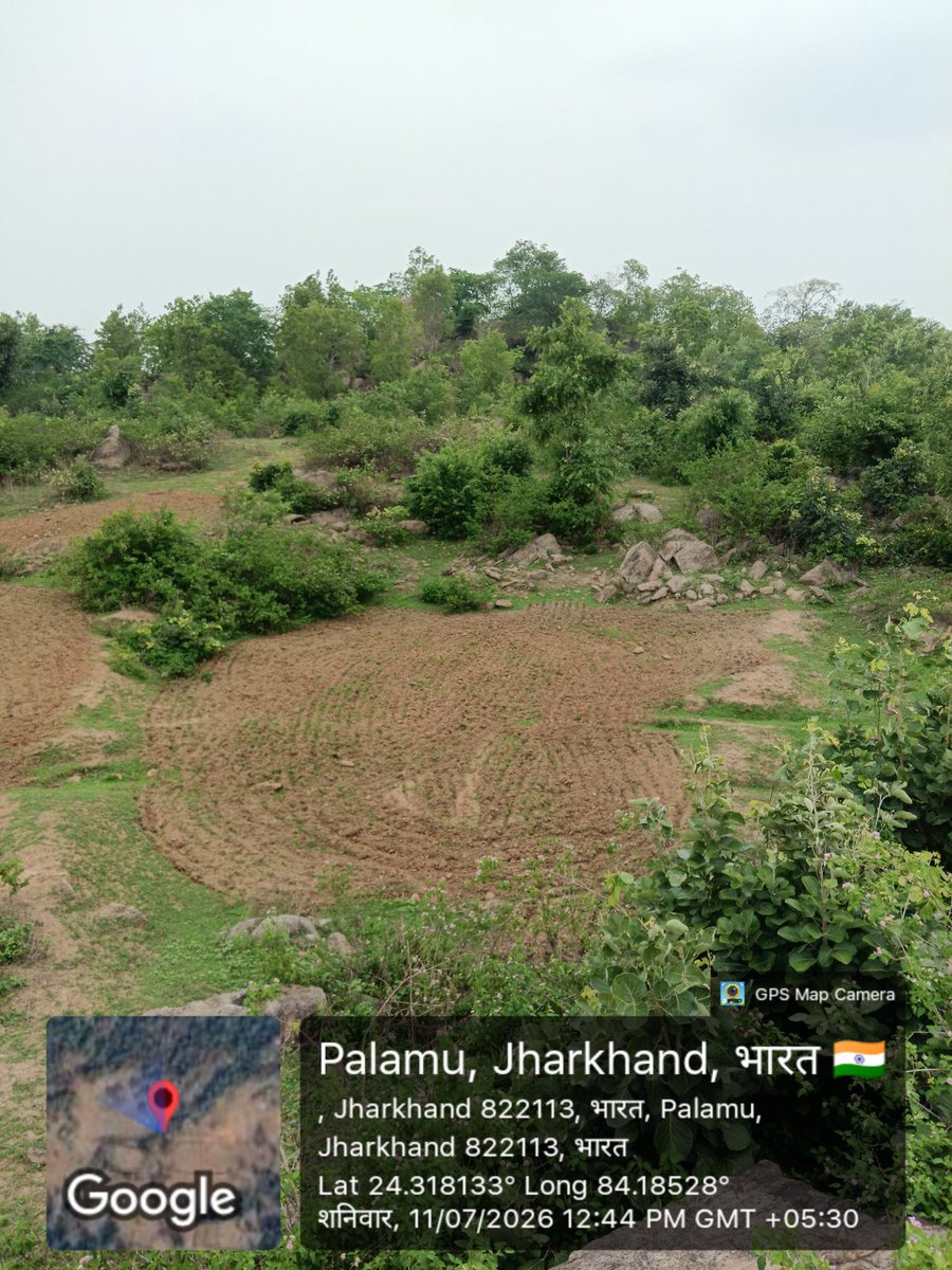 manoj28544's tweet photo. #Palamu #Chhatarpur में वन भूमि पर अतिक्रमण
ग्राम सलैया, "बेलवा ताड़" जंगल की जमीन पर ट्रैक्टर से । पेड़ काटे जा रहे।
@JharkhandForest @DC_Palamu संज्ञान लें। फॉरेस्ट विभाग को
सूचना के बाद भी कोई कार्रवाई नहीं।
@jh_article19
GPS: 24.318097, 84.184585
#SaveForest
@HemantSorenJMM https://t.co/bl0t8aOYGH