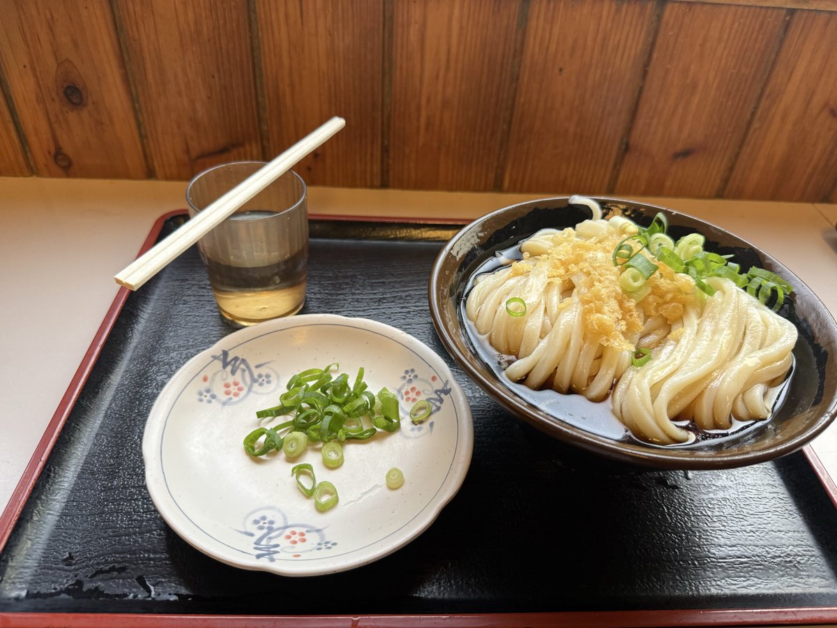guaranared's tweet photo. うどんバカ一代行ってきました。
冷やしぶっかけの中注文したら予想以上のボリュームでした。何とか完食したが、ちょっと女性にはキツい😫
でもこのボリュームで530円は安い。
シンタ君のサインもありました。
15時台だけどほぼ満席でした。 https://t.co/UCQkdufoXc