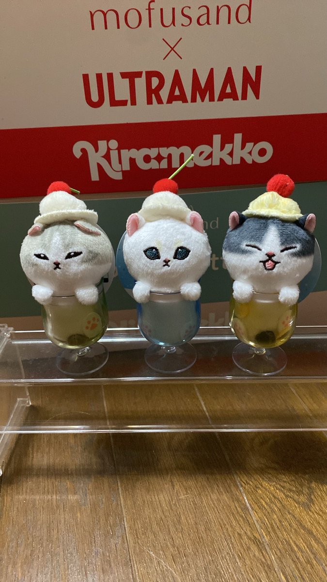 てつや (@kapo_neko) / Posts / X