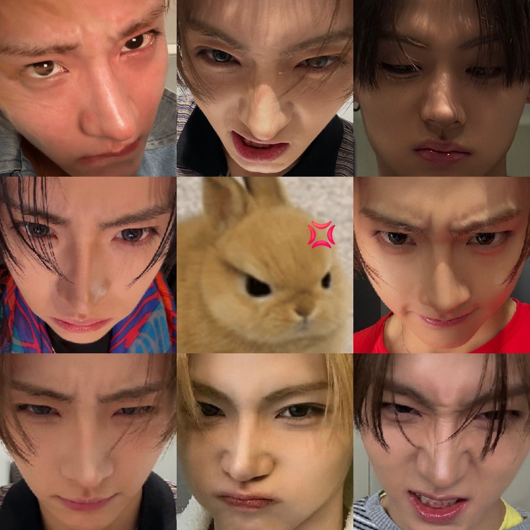 19wons's tweet photo. angy bunnywon 🐰💢 https://t.co/6e58LtLGUg