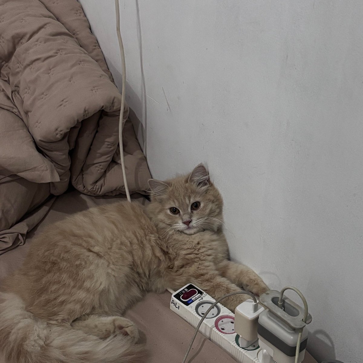 pleasenatt's tweet photo. Takut bgt klo besok aku susah punya anak yg disalahin bon2 🥲 https://t.co/MNn8r00CuR