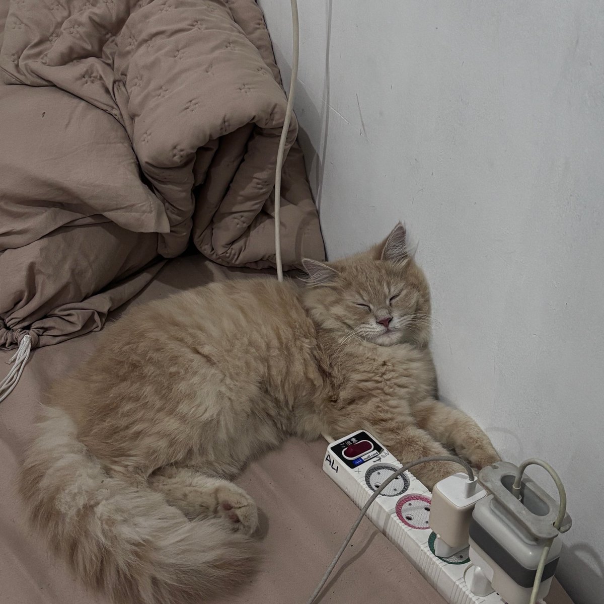 pleasenatt's tweet photo. Takut bgt klo besok aku susah punya anak yg disalahin bon2 🥲 https://t.co/MNn8r00CuR