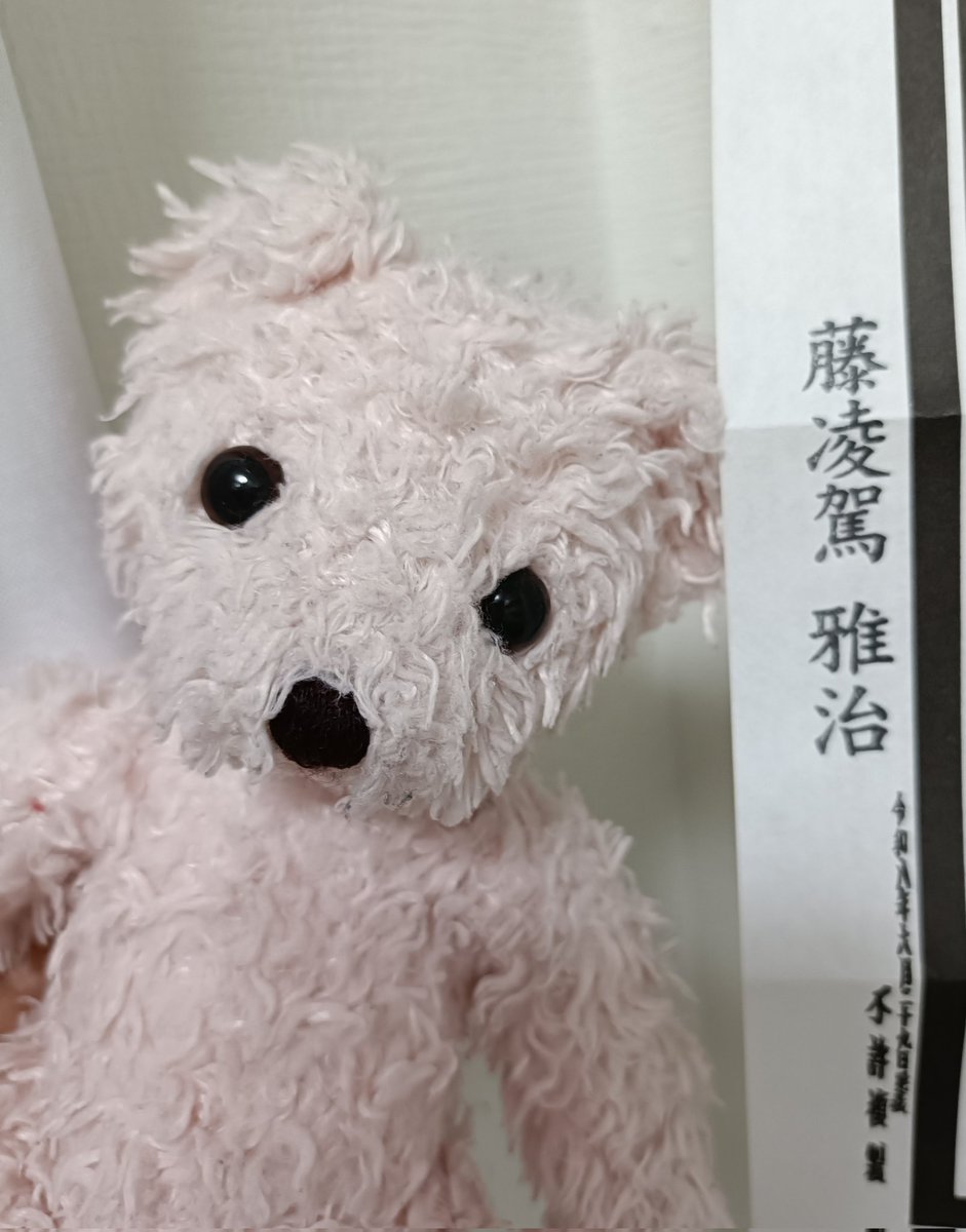 ikementeddybear's tweet photo. 今日から名古屋場所！
楽しみです☺️ https://t.co/U7ZOY59AYz