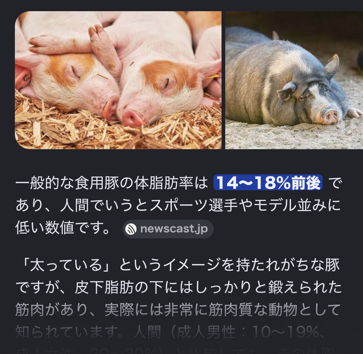 ma_bnd00's tweet photo. @bnd__tsn ブタの体脂肪率は低めらしいので、まさかのただのお色気お姉さんになるという https://t.co/hm8o2gmnFj