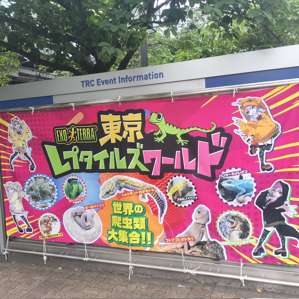 Aci40M's tweet photo. 楽しかったです(*´ω`*)
 #東京レプタイルズワールド https://t.co/a1h03IgSY3