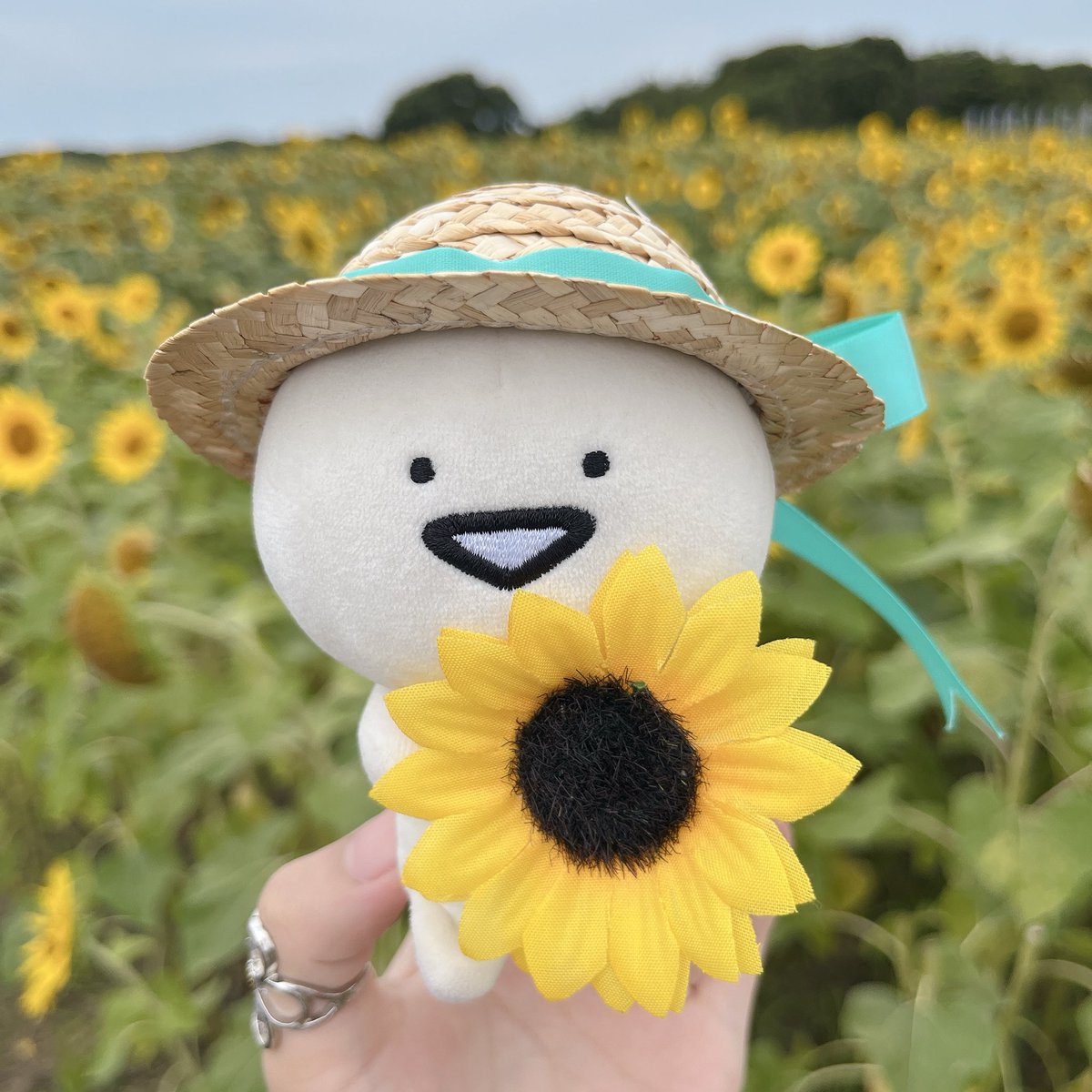 barukuuuu's tweet photo. 今年もいっしょに向日葵デート🌻

#お文具の談話室 https://t.co/6Vb85RpdTx