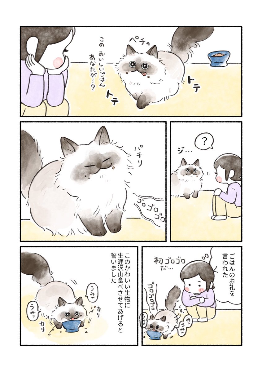 makura_yamamugi's tweet photo. (3/3) https://t.co/aK6y78FngH
