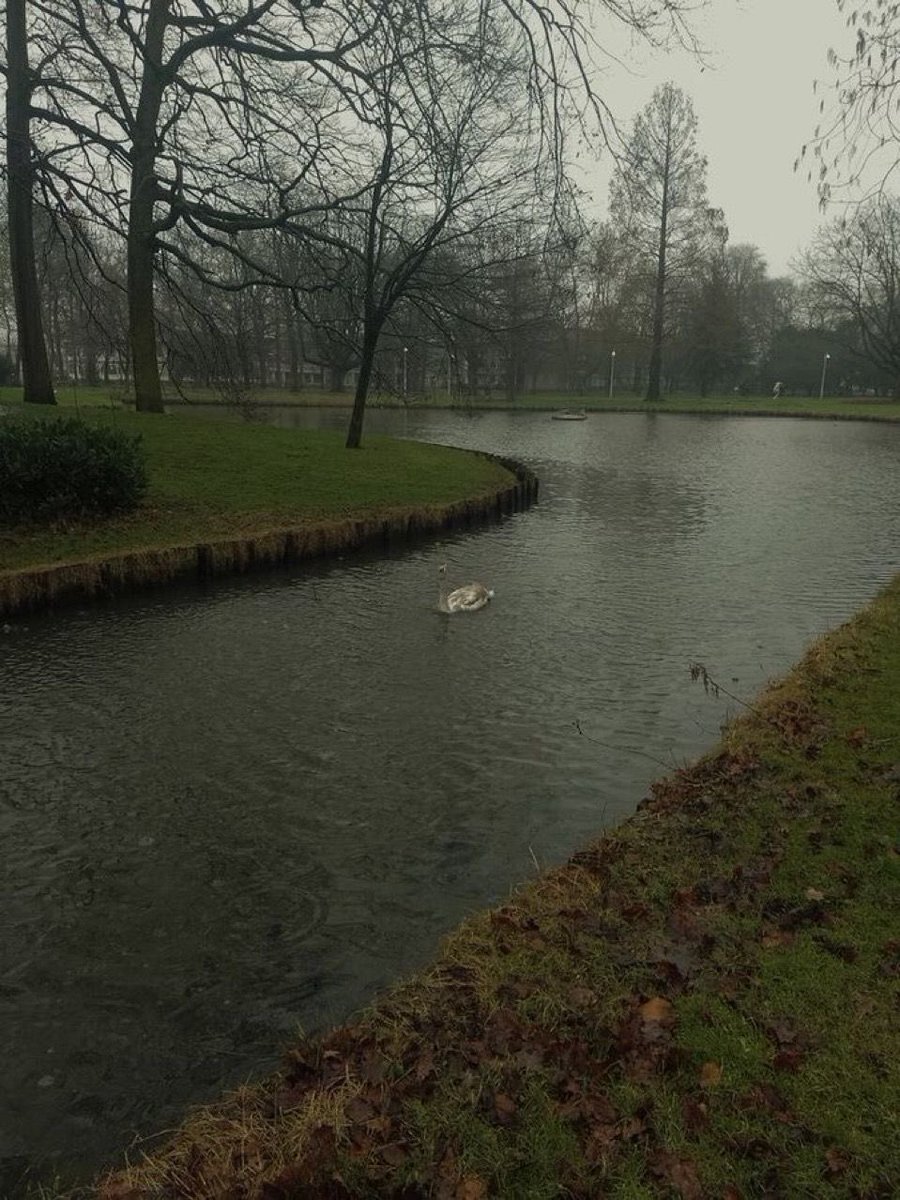 spooky_nature's tweet photo. even the sky overthinks before it rains https://t.co/E4If8ZqFxW