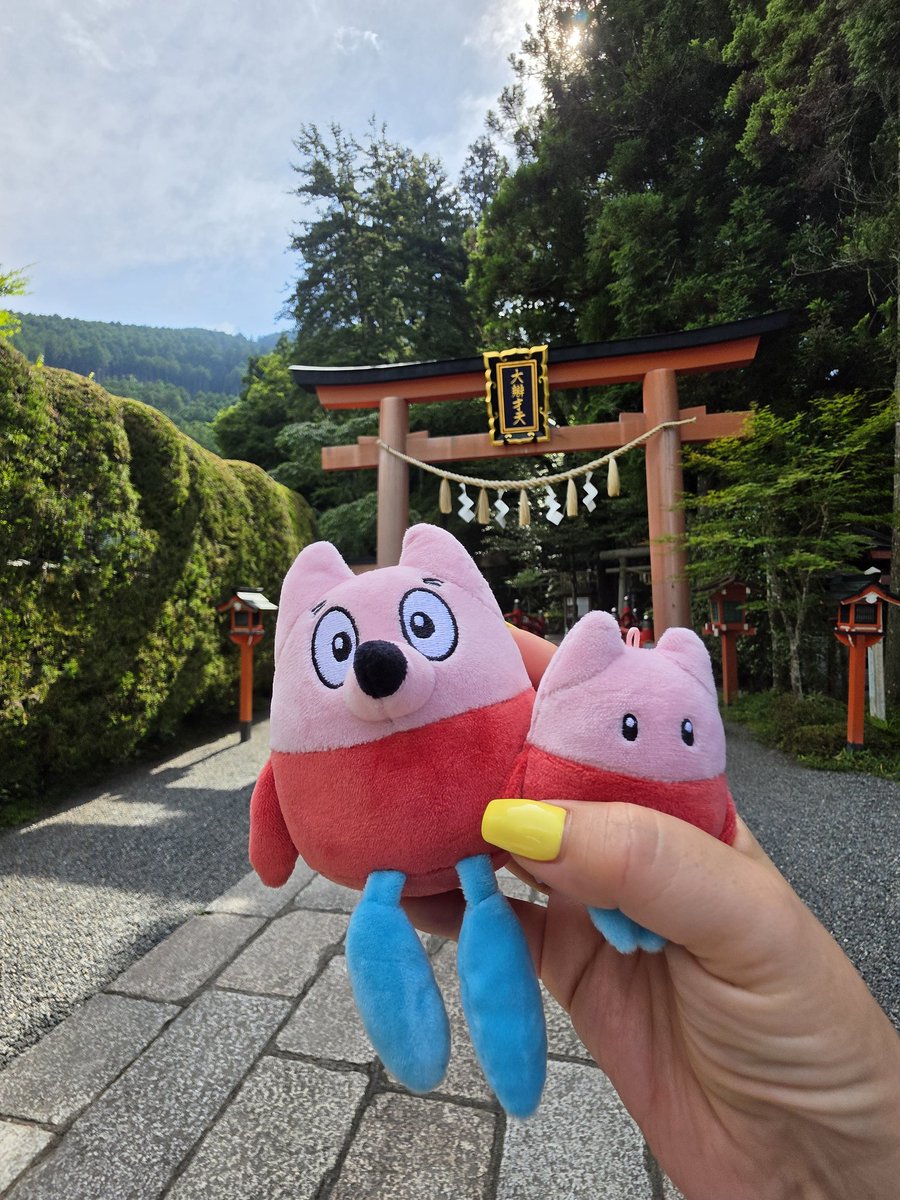 kaoru7070's tweet photo. 天河大辨財天社へ⛩️✨
お参りしてきました😊
水の精・弁財天をお祀りし音楽や芸能の神様としても有名な神社✨
中丸くんのことも心を込めてお参りしてきたよ🙏💜
澄んだ空気に包まれて、とても心が穏やかになりました✨ https://t.co/oMvnMLYfRT