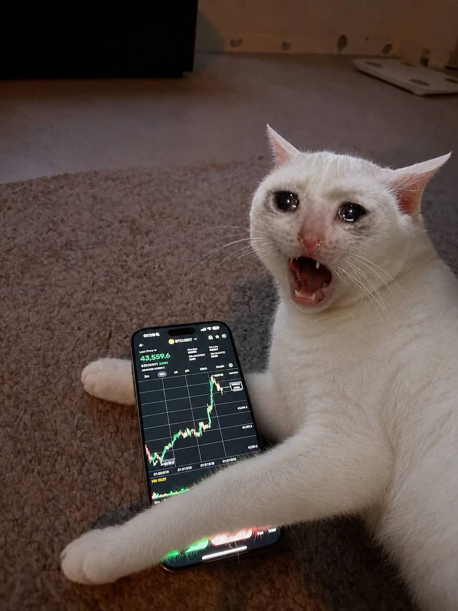 CRYING CAT tweet media