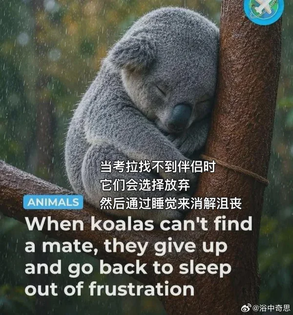 XFyang882's tweet photo. https://t.co/n17OI3ildZ