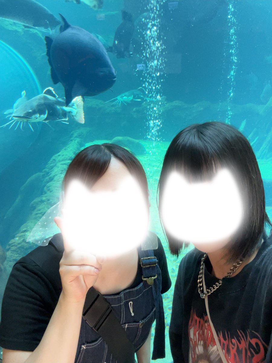 shaftesbury758's tweet photo. 𝓂𝓎𝒻𝓇𝒾ℯ𝓃𝒹と水族館で遊び倒してドカ笑いした昨日🙌🤍楽しい一日はいつもあっという間や😭 https://t.co/gLpfzu3V7F