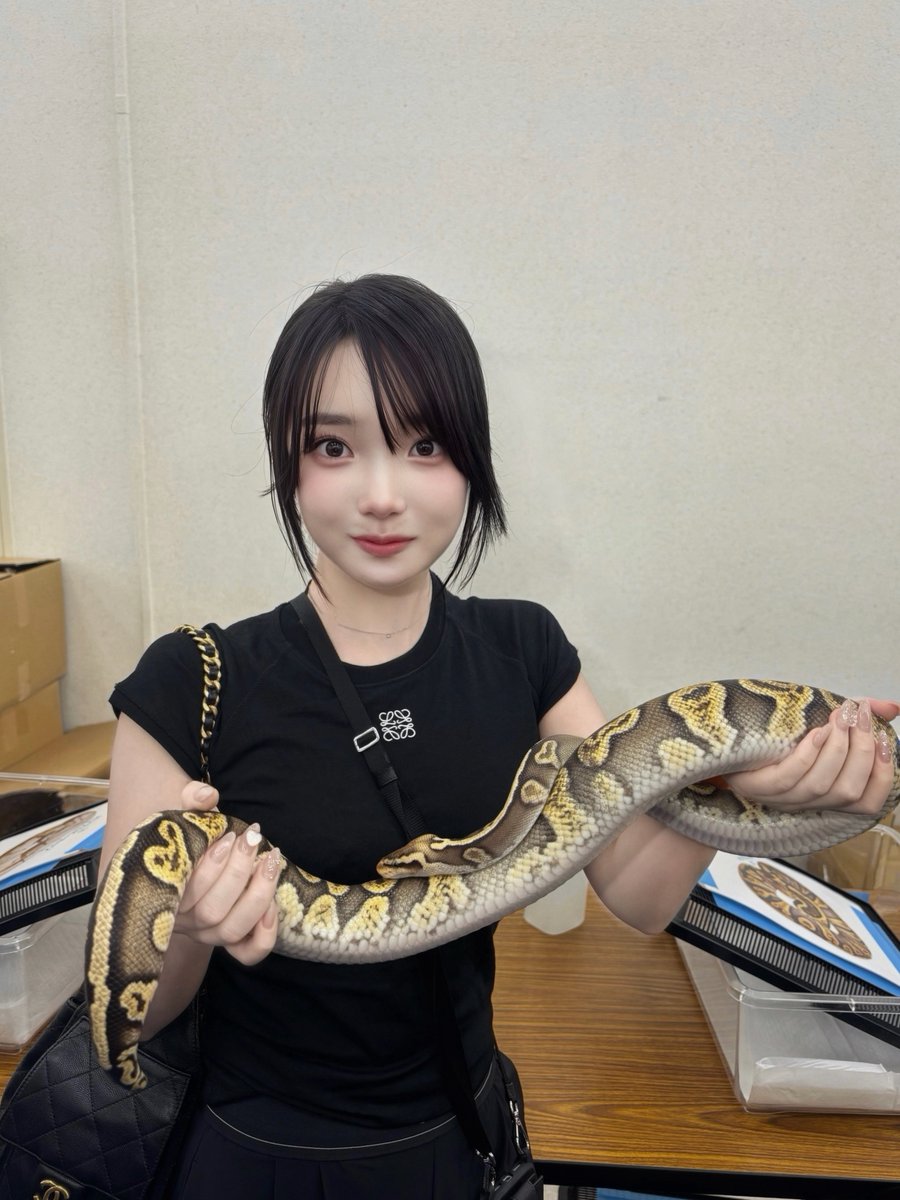 puutintweet's tweet photo. 私はビビって全然顔ひきつってた😇 https://t.co/7AjhNPp3E3