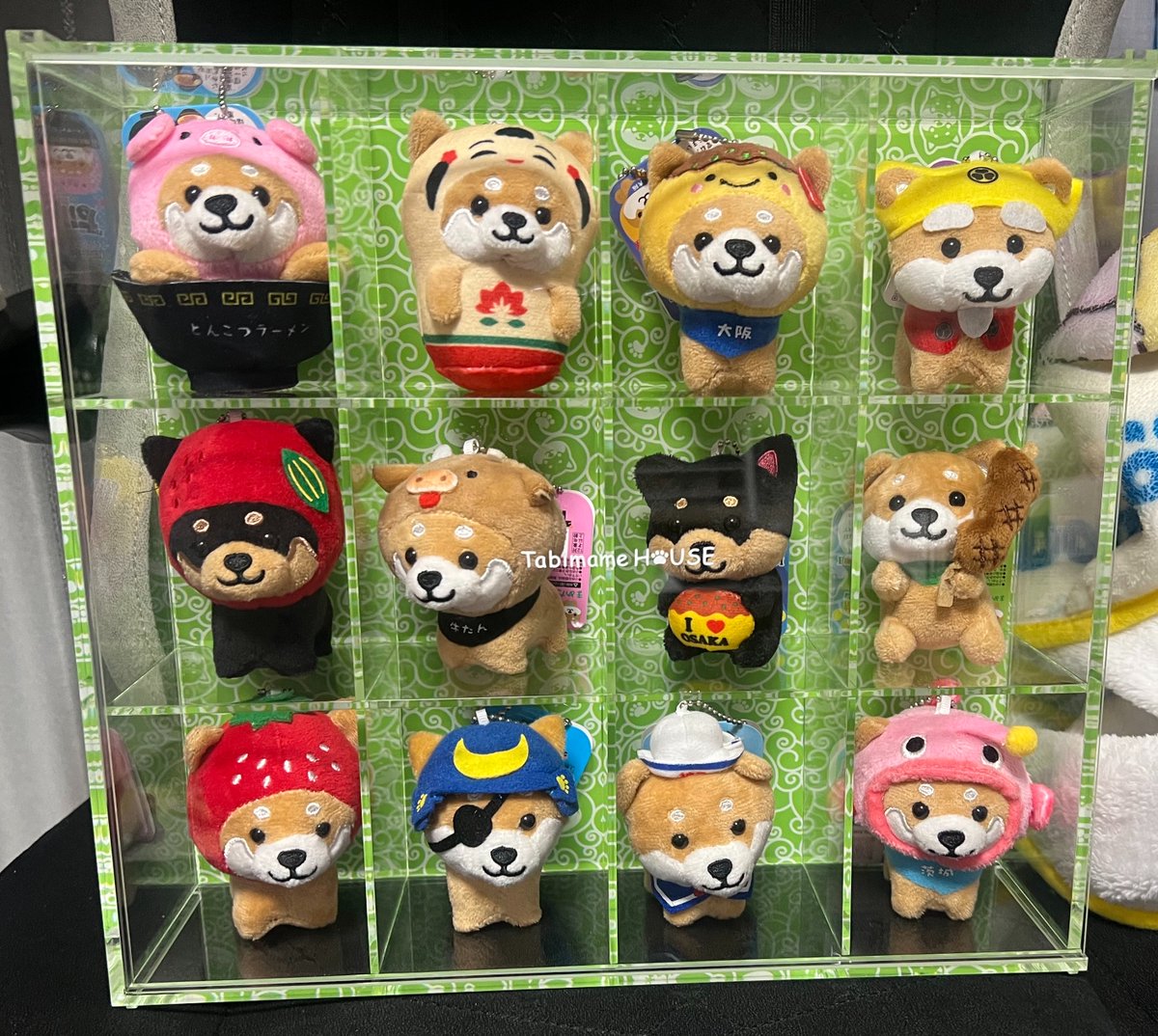 mokhatorte's tweet photo. 旅しばマンション完成したー⸜(๑⃙⃘'ω'๑⃙⃘)⸝

ぐんまこんにゃくだけ溢れちゃったから
また集まり次第マンション在住になるのかな

可愛いけど飾る場所無くて難しい、、、
勢いで買ってしまった🏠 https://t.co/UgIB261Ip9